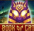 Book of Cats muqovasi